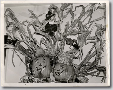 An undated Halloween display in the Court’s cafeteria by Elizabeth Mertens.