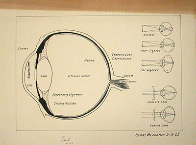 Labeled cross section of a human eye, drawn by Harry A. Blackmun for his senior year biology course.