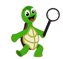 Lex the tortoise